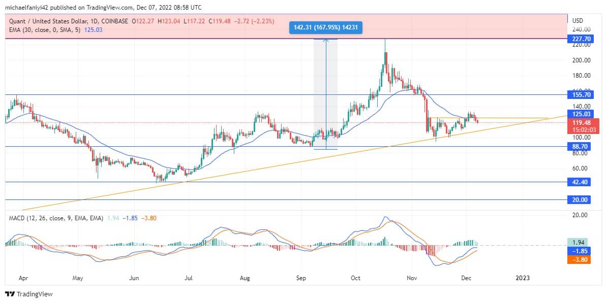 Quant Price Forecast: QNTUSD Remains Within the Rallying Purview Despite a Pullback