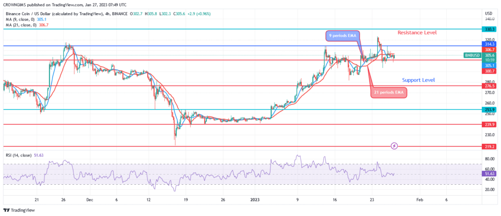 Binance Coin (BNBUSD): Will There Be a Bearish Reversal at $314 Resistance Level?