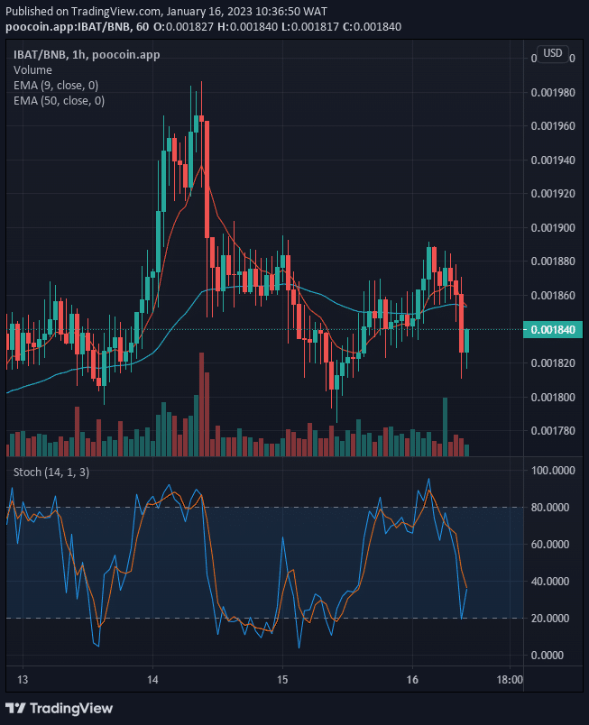 Battle Infinity (IBAT) Price Will Rise Further