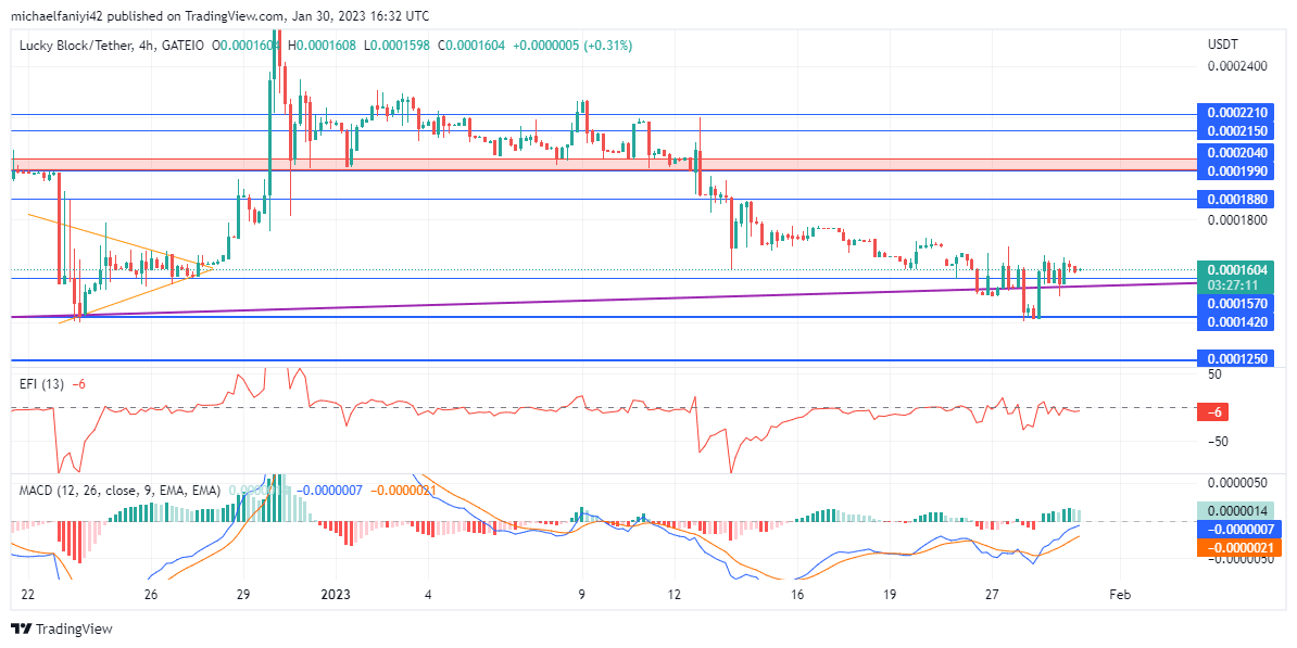 Lucky Block Market Forecast