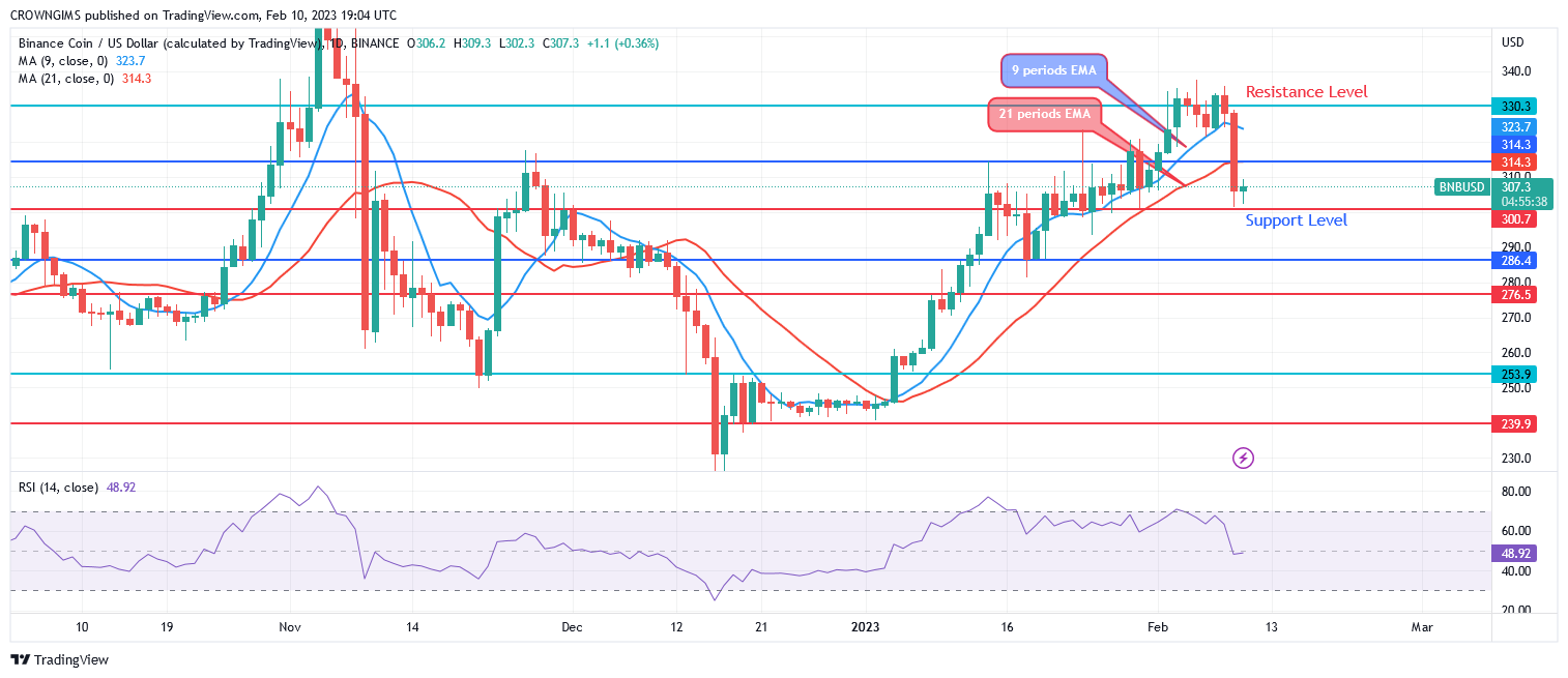 Binance Coin (BNBUSD) Is Experiencing a Bearish Reversal at $314 Resistance Level