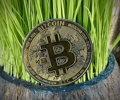 Btc Market Cap Overtakes Major Processing Networks
