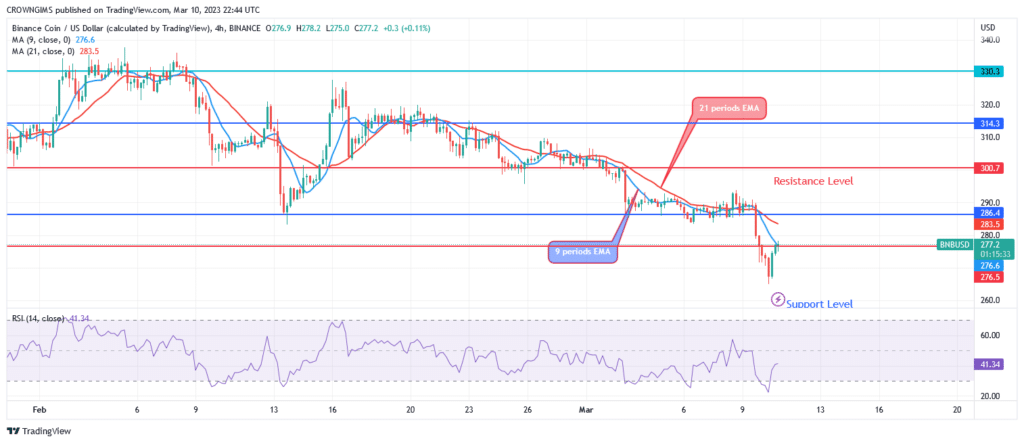 Binance Coin (BNBUSD): Seller’ pressure breaks Down $286 Support Level, What Next?