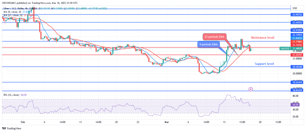 Silver (XAGUSD) Price: Will There Be a Further Price Increase Above $21.74 Level?