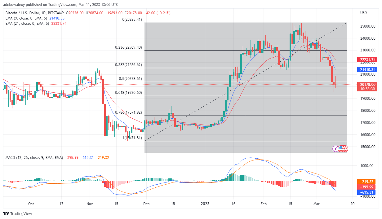 Trending Coins for Today, March 12: HT, BTC, SHIB, MATIC, and 1INCH