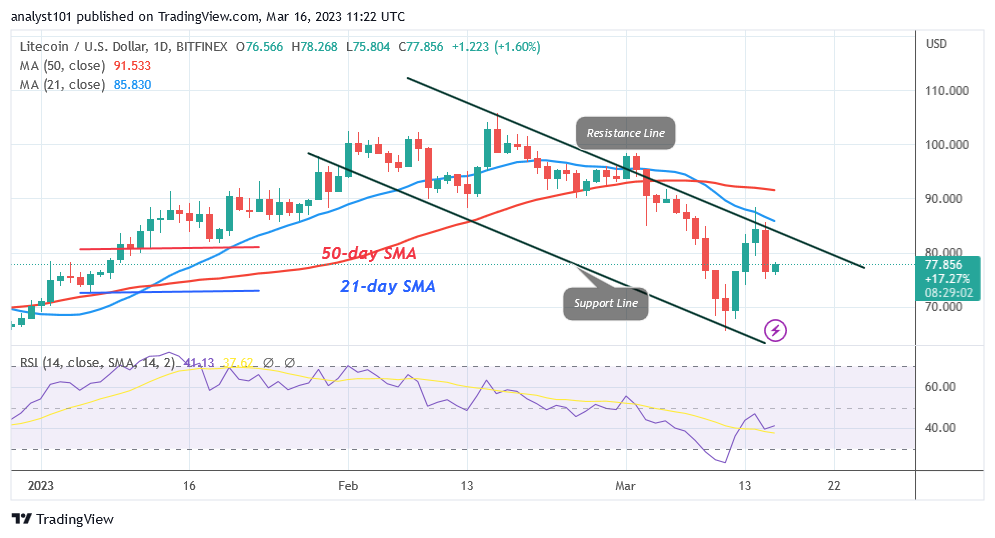 Litecoin Holds as the Market Reaches Existing Support at $75