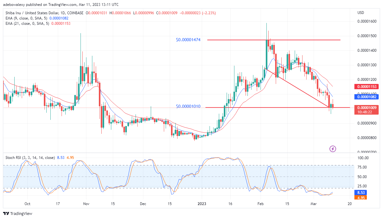 Trending Coins for Today, March 12: HT, BTC, SHIB, MATIC, and 1INCH