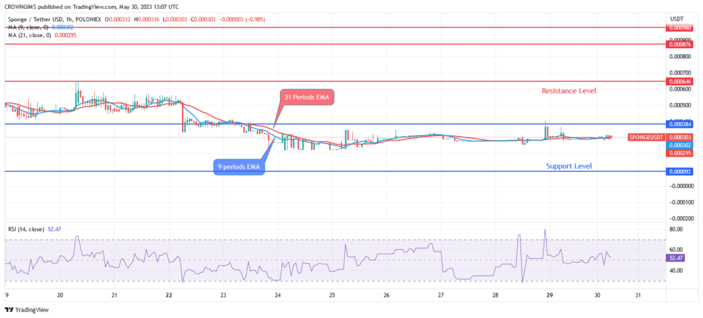 Sponge (SPONGEUSDT) Price: Right Time to Invest Is Now!
