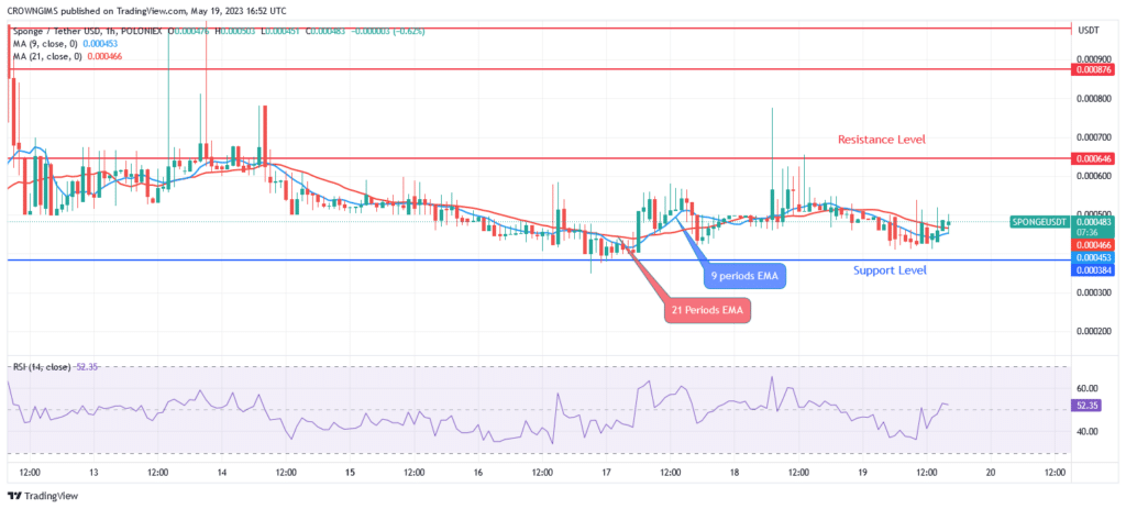 Sponge (SPONGEUSDT) Price Attracting More Investors at $.00038 Level