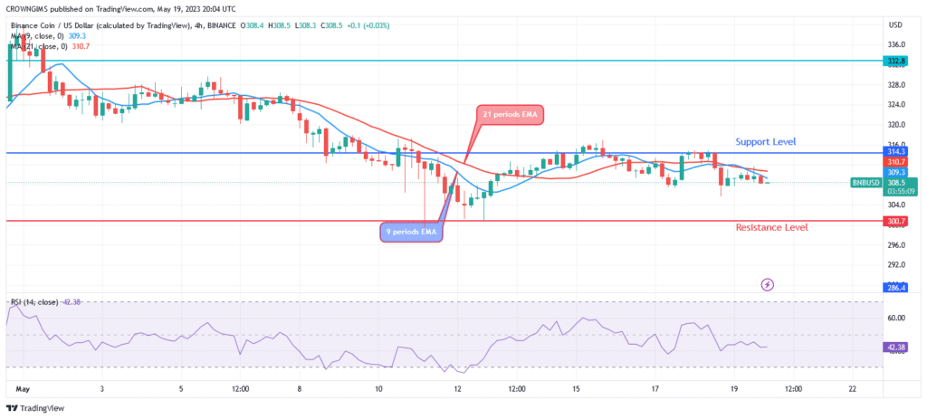 Binance Coin (BNBUSD) Price May Decline to $286 Support Level