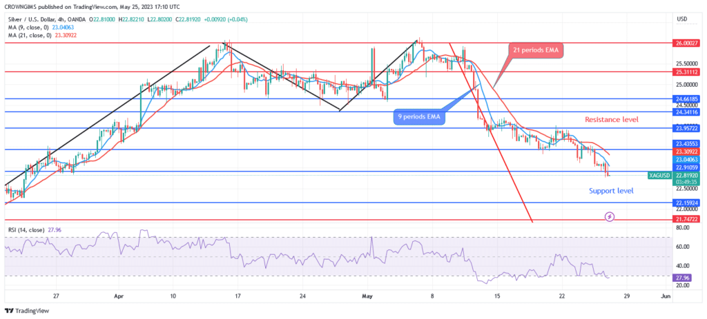 Silver (XAGUSD) Price: Bearish Trend Continues, Targeting $21 Support Level