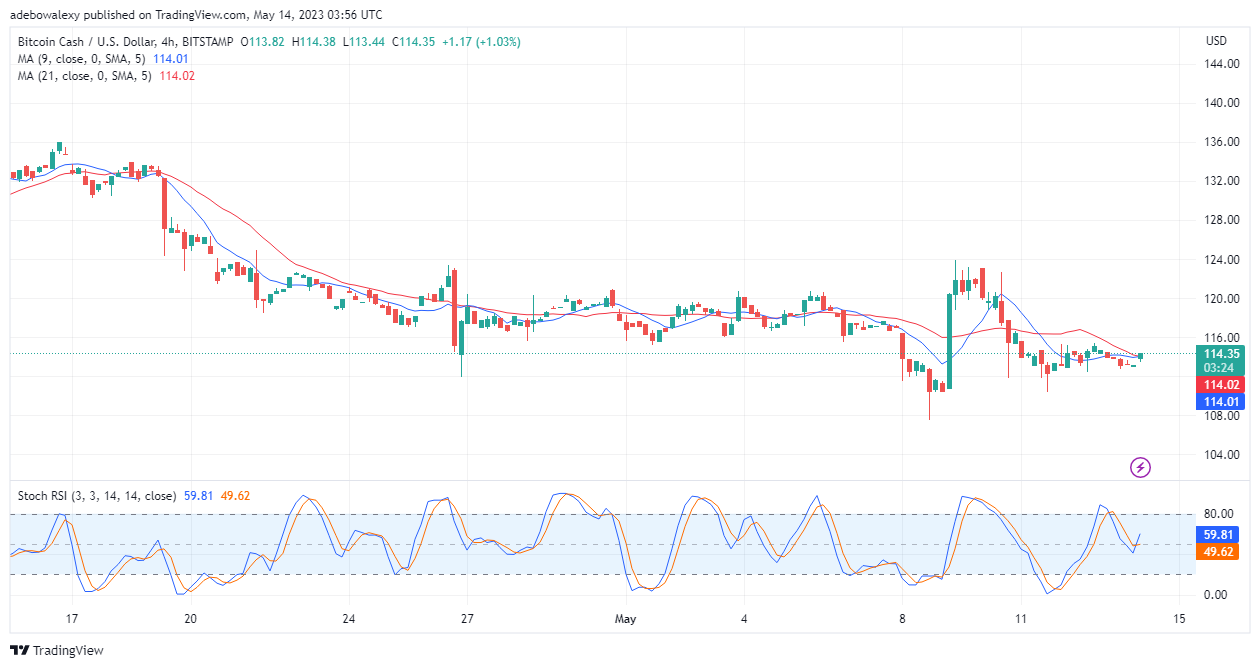 Bitcoin Cash (BCH) Poses for an Upside Retracement After Moving 1.13% Upwards