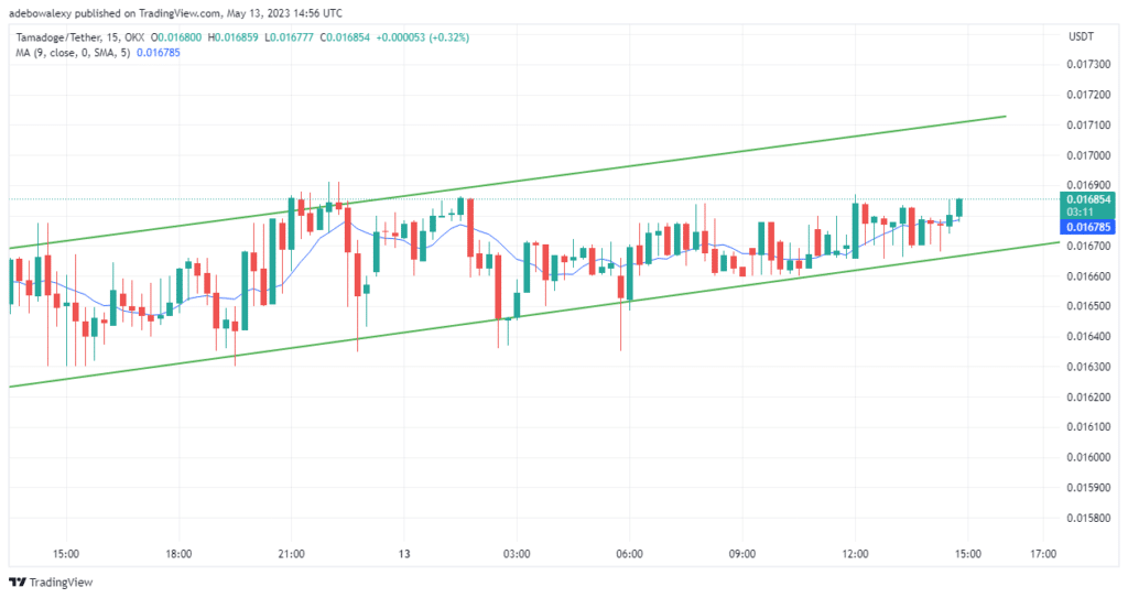 Tamadoge (TAMA) Price Prediction for Today, July 7: TAMA/USDT Keeps Acquiring Elevated Support Levels