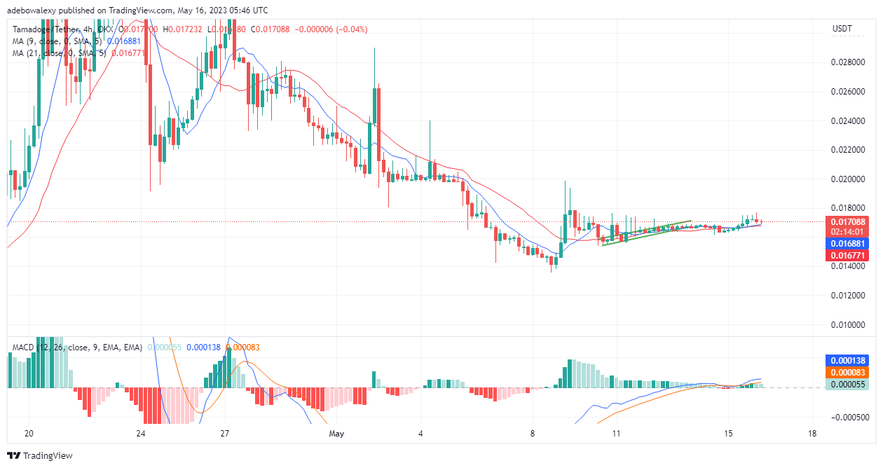 Tamadoge (TAMA) Price Prediction Today, May 16: TAMA/USD Breaks $0.01700, Now Eyes Higher Price Levels
