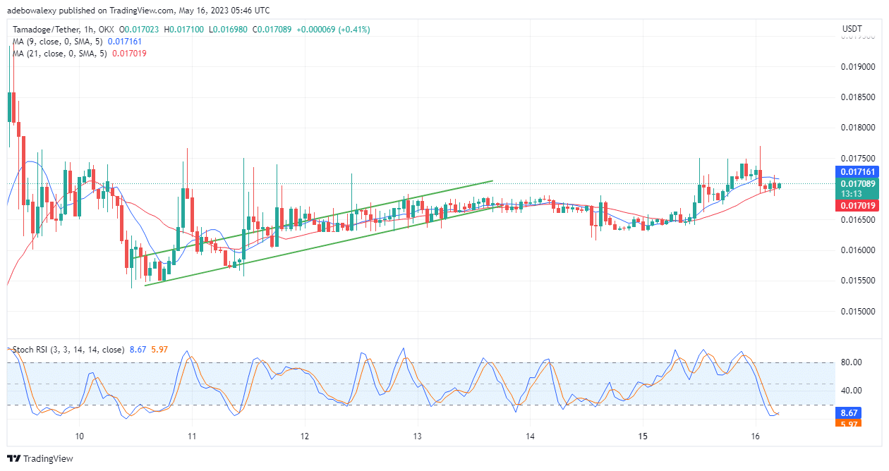 Tamadoge (TAMA) Price Prediction Today, May 16: TAMA/USD Breaks $0.01700, Now Eyes Higher Price Levels