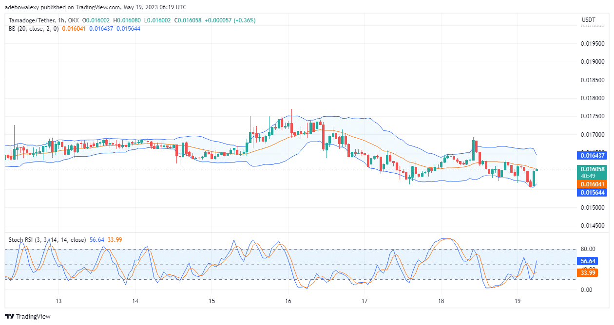 Tamadoge (TAMA) Price Prediction Today, May 19: TAMA/USD Leaps Up From $0.01552 Support