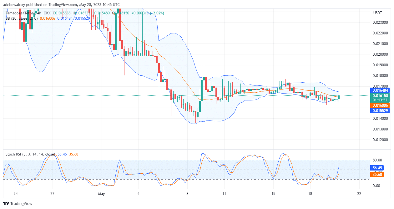 Tamadoge (TAMA) Price Prediction Today, May 21: TAMA/USD Leaps Up From $0.01552 Support