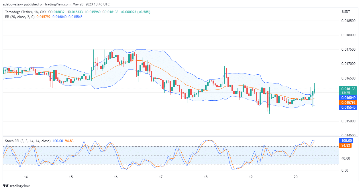 Tamadoge (TAMA) Price Prediction Today, May 21: TAMA/USD Leaps Up From $0.01552 Support