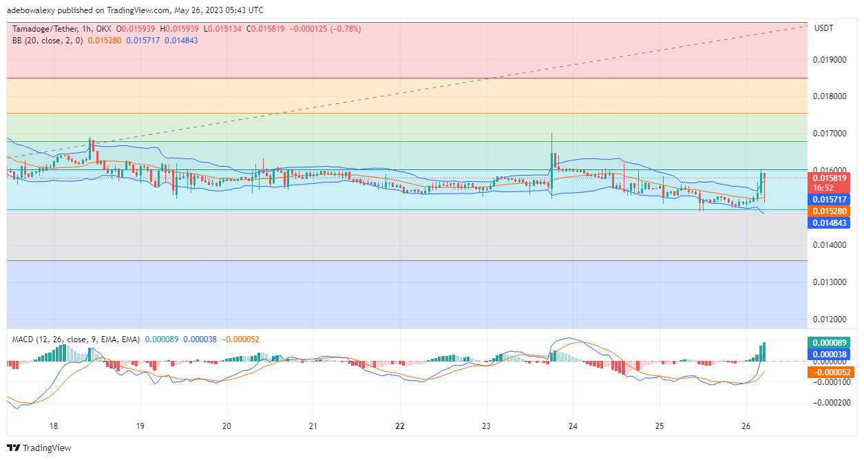 Tamadoge (TAMA) Price Prediction for Today, May 26: TAMA/USDT Seems to Have Started a Price Surge
