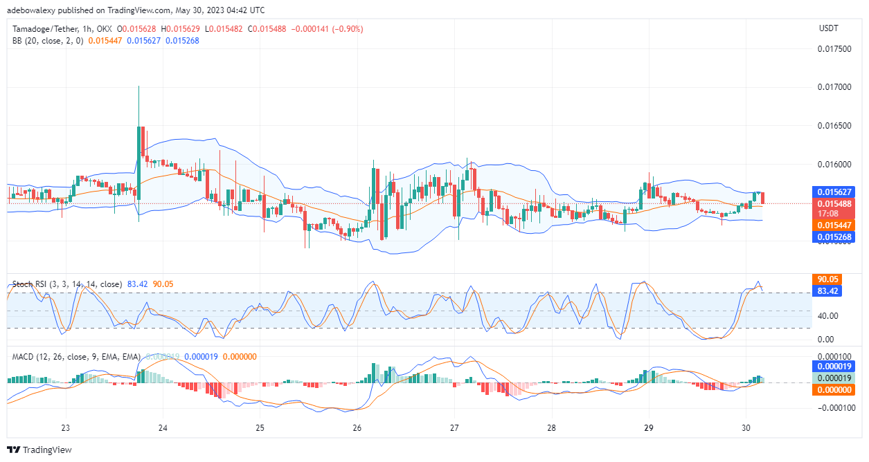 Tamadoge (TAMA) Price Prediction for Today, May 30: TAMA/USDT Buyers Defend the Price Mark of $0.01540