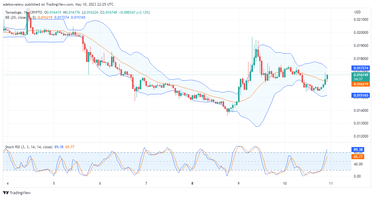 Tamadoge (TAMA) Price Prediction Today, May 11: TAMA/USD Set to Capture Higher Price Marks