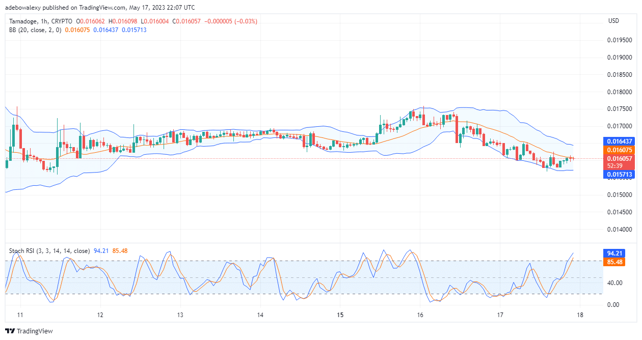 Tamadoge (TAMA) Price Prediction Today, May 18: TAMA/USD Bulls Are Defending the $0.01600 Price Level