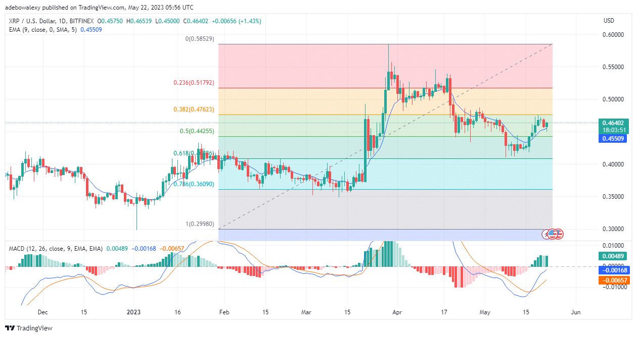 Ripple (XRP) Stays Afloat, May Retrace Higher Price Mark