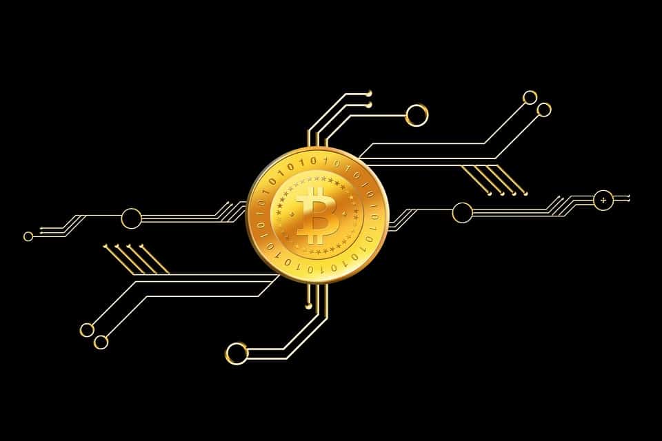 Trending Coins for Today, May 14: PEPE, LADYS, SUI, PULSE, and CAPO
