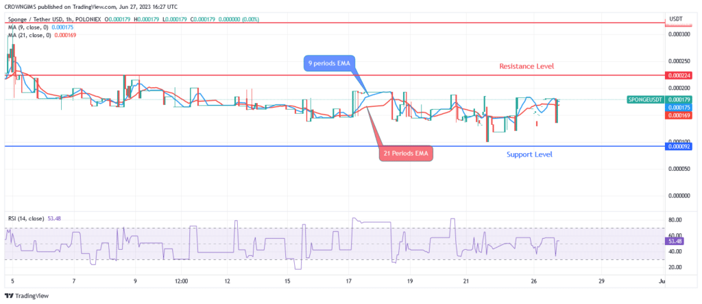 Sponge (SPONGEUSDT) Price Reduced in Order to Draw in More Customers