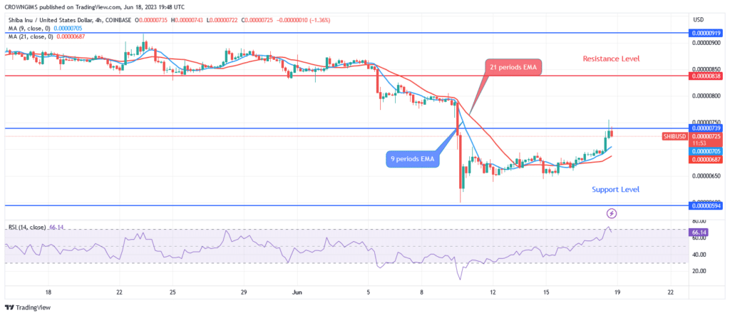 Shiba Inu (SHIB) Price May Bounce Up at $0.0000053 Level