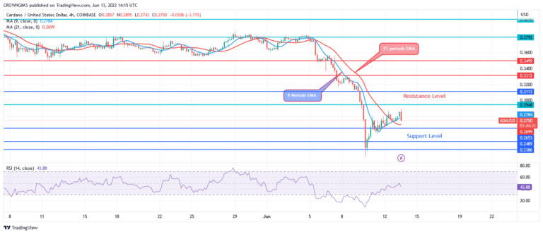 Cardano Price: A Bullish Reversal Envisaged at $0.26 Support Level