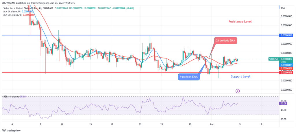 Shiba Inu (SHIB) Price: Will There Be a Breakout at $0.0000091?