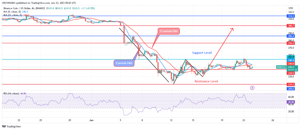 Binance Coin (BNBUSD) Price: Bullish Reversal Envisaged at $219 Level