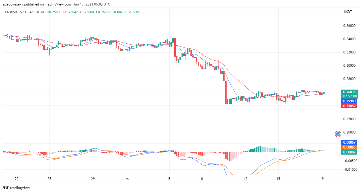 Enjin (ENJ) Price Action Finds Support at a Key Support Level