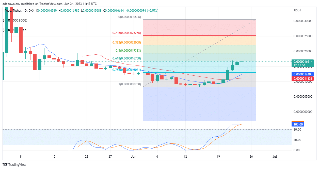 Trending Coins for Today, June 24: PEPE, BTC, KAS, SHIBA, and ETH