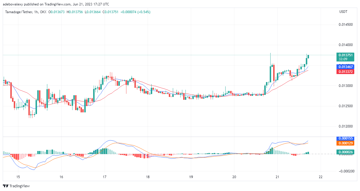Tamadoge (TAMA) Price Prediction for Today, June 22: TAMA/USDT Is Aiming at the 0.01420 Resistance Price Mark