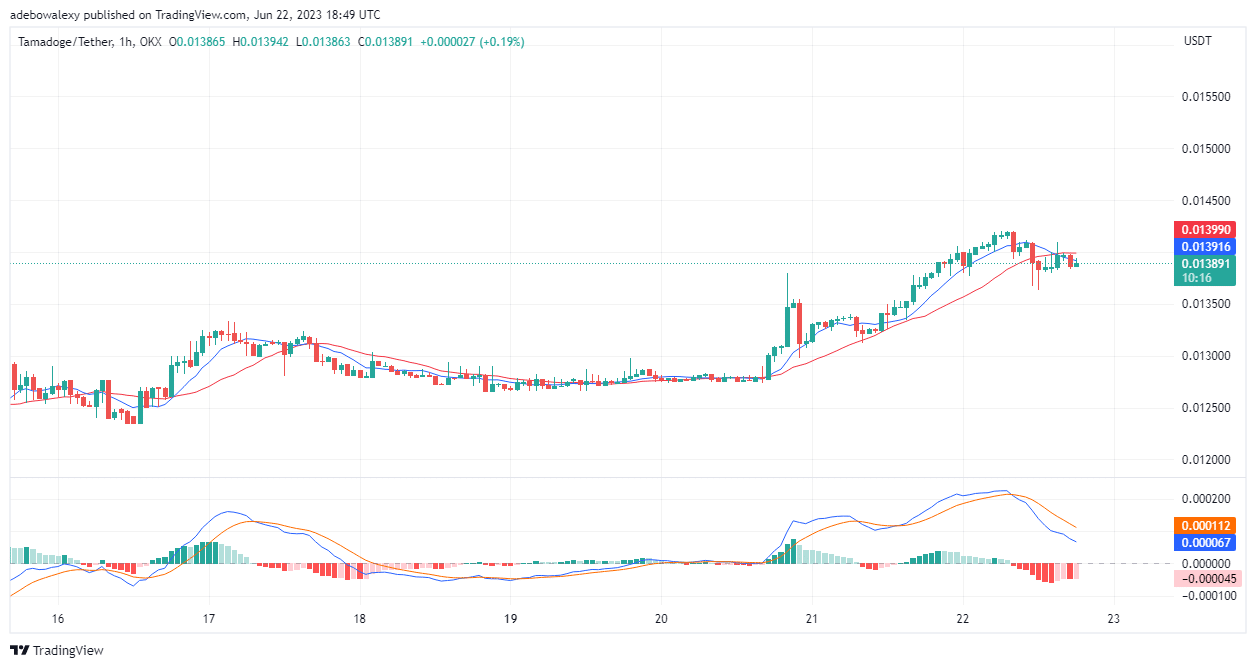 Tamadoge (TAMA) Price Prediction for Today, June 23: TAMA/USDT Retain Focus on the $0.01450 Mark