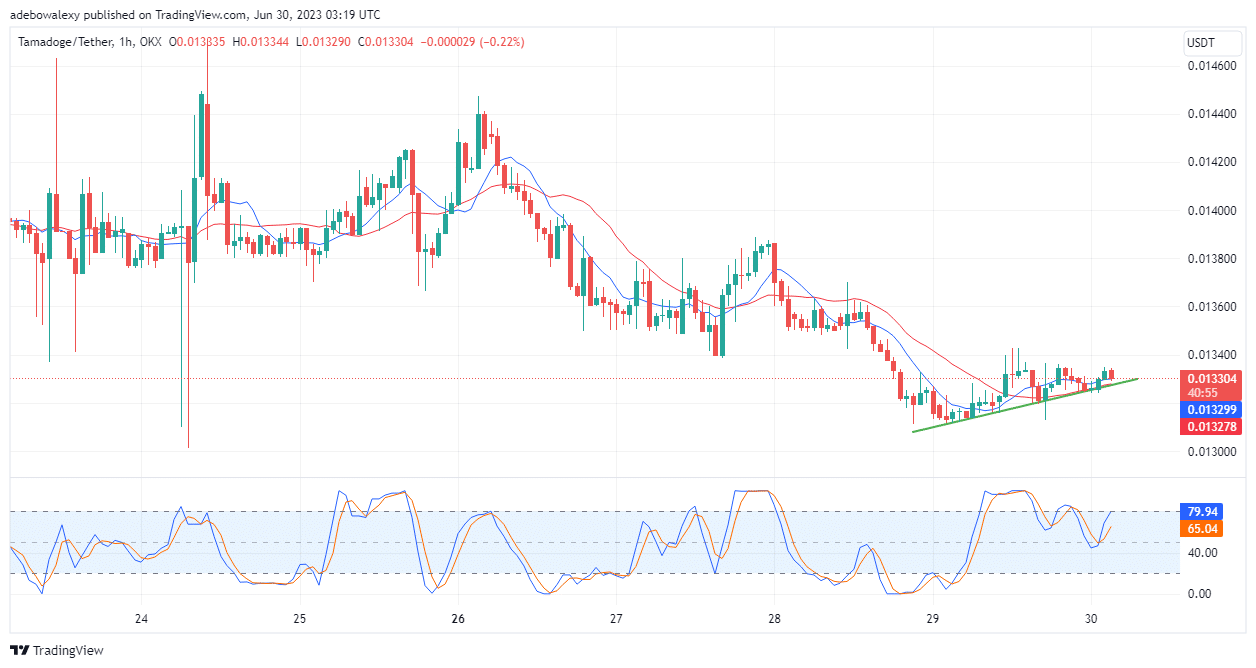 Tamadoge (TAMA) Price Prediction for Today, June 30: TAMA/USDT Price Continues to Take Higher Support Levels