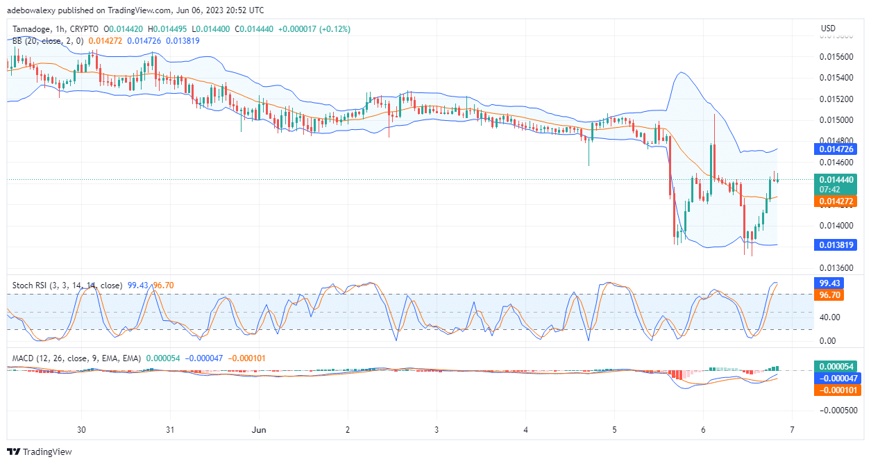 Tamadoge (TAMA) Price Prediction for Today, June 7: Buyers Flood the TAMA/USD Market