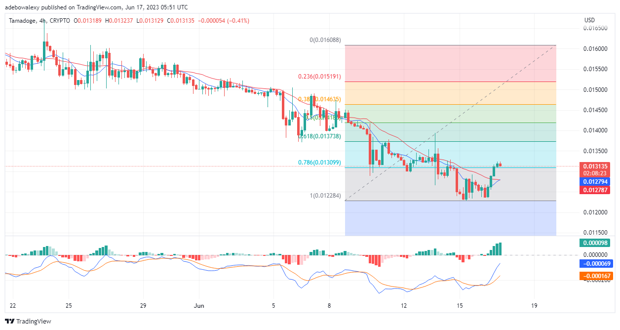 Tamadoge (TAMA) Price Prediction for Today, June 17: TAMA/USDT Secures a Higher Price Support Level