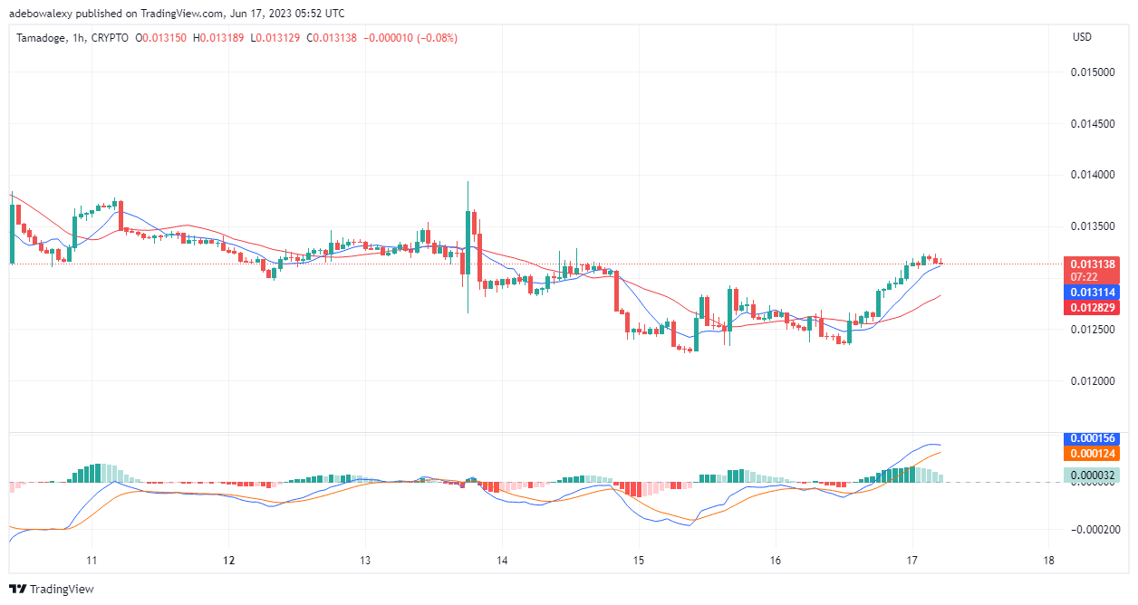 Tamadoge (TAMA) Price Prediction for Today, June 17: TAMA/USDT Secures a Higher Price Support Level