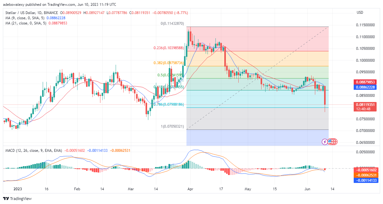 Trending Coins for Today, June 11: CHITCAT, BNB, PEPE, MATIC, and XLM