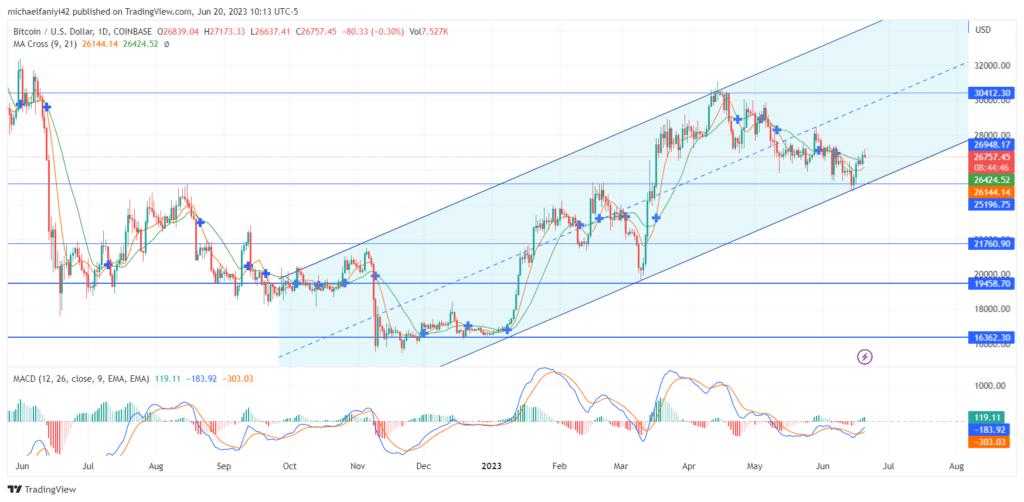 Bitcoin (BTCUSD) Shows Incremental Rise in Price