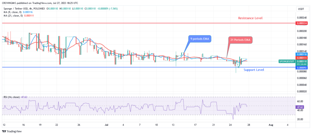 Sponge (SPONGEUSDT) Price Efficiently Attracts More Customers at $0.000092