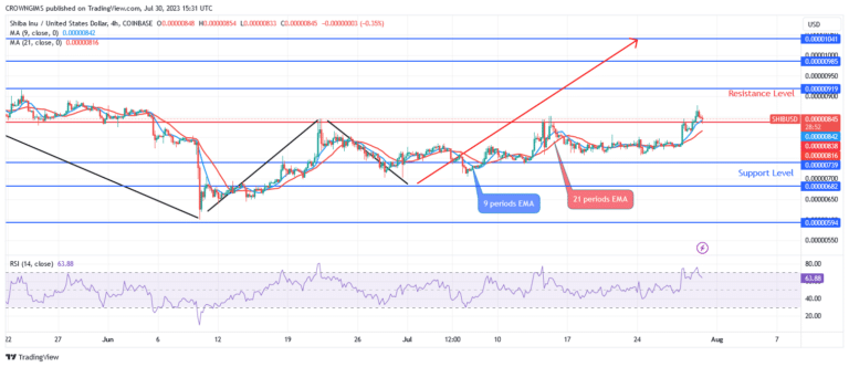 Shiba Inu (SHIB) Price: Buyers Are Dominating SHIB Market