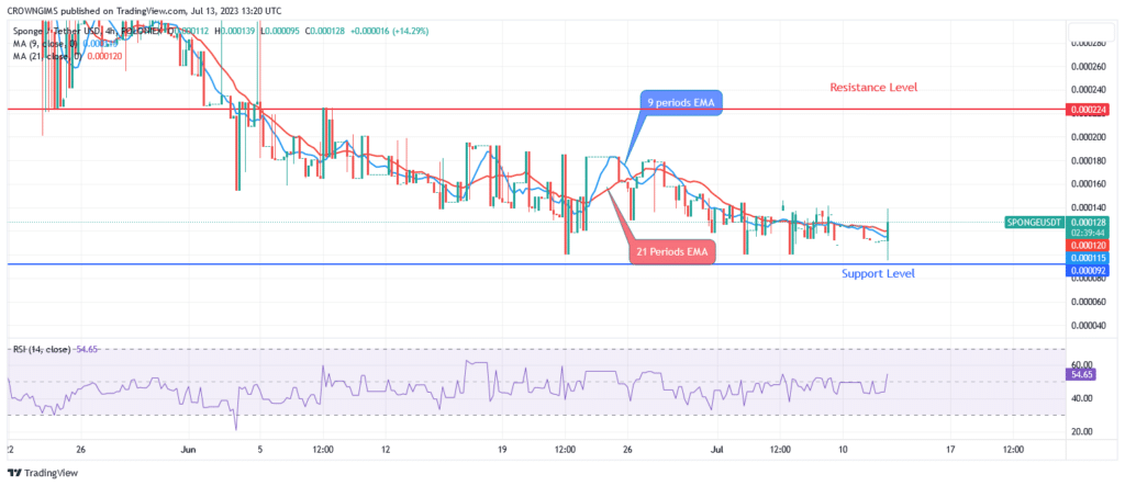 Sponge (SPONGEUSDT) Price Will Move Above $0.000224 If Enough Investor Assets Amassed