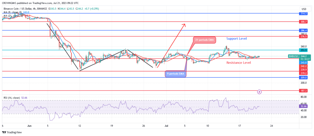 BNB (BNBUSD) Price: Bulls Are Gathering Momentum for Bullish Breakout