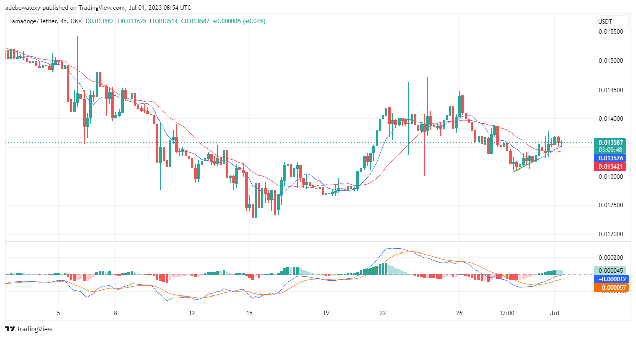 Tamadoge (TAMA) Price Prediction for Today, July 1: TAMA/USDT Stays Focused on Retracing the $0.01400 Mark 
