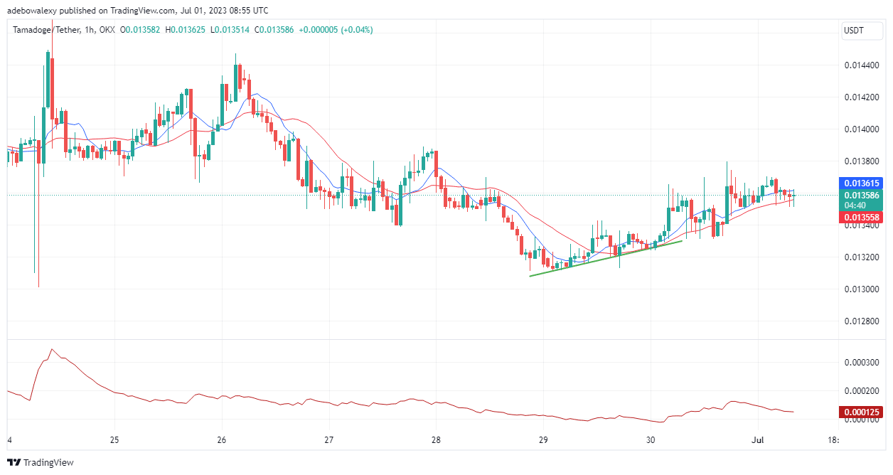 Tamadoge (TAMA) Price Prediction for Today, July 1: TAMA/USDT Stays Focused on Retracing the $0.01400 Mark 