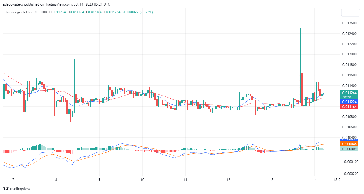 Tamadoge (TAMA) Price Prediction for Today, July 14: TAMA/USDT Bulls Breaks the Resistance at the $0.01120 Mark